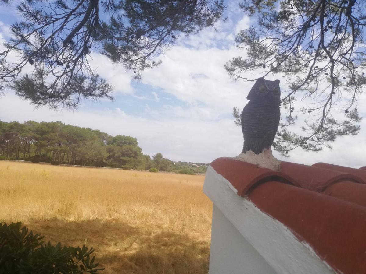 Es Pins Lägenhet Cala Blanca  Exteriör bild